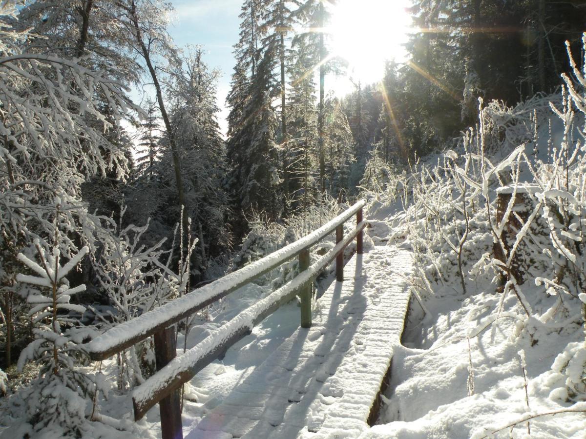 Urlaub Im Zirbenland Villa Obdach Kültér fotó