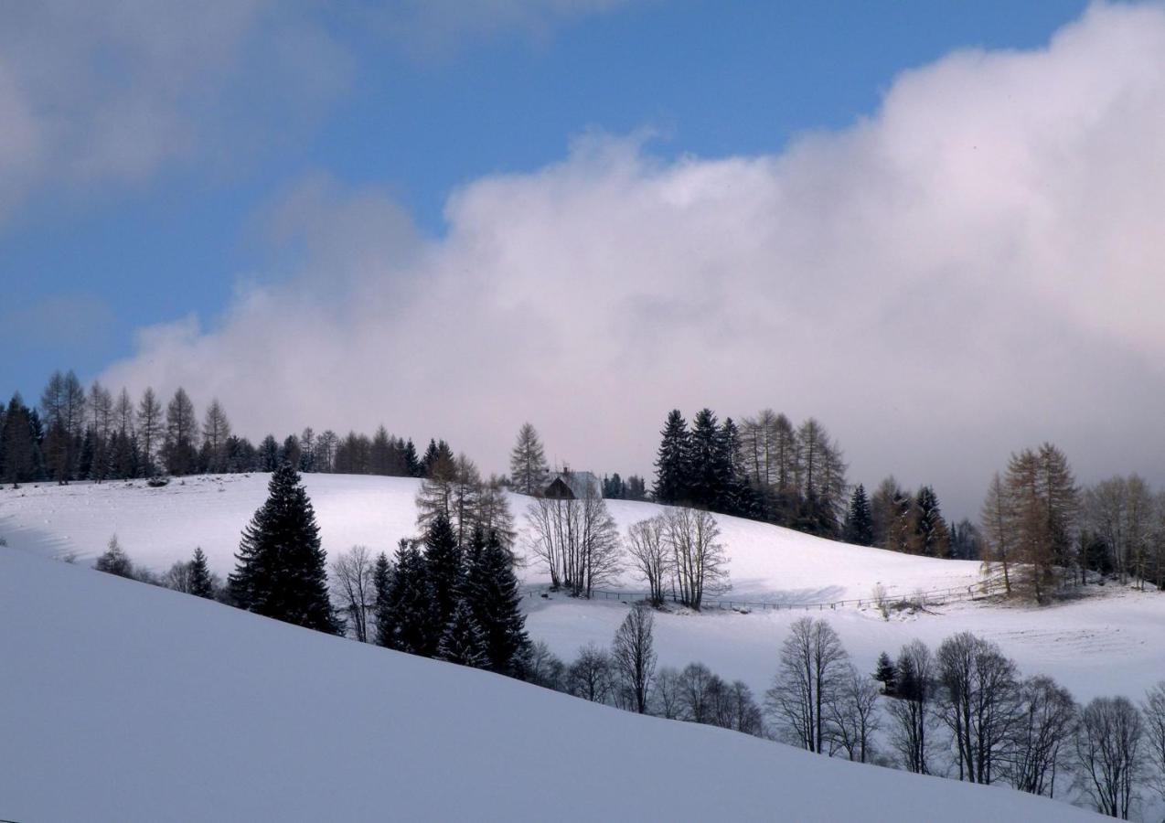 Urlaub Im Zirbenland Villa Obdach Kültér fotó