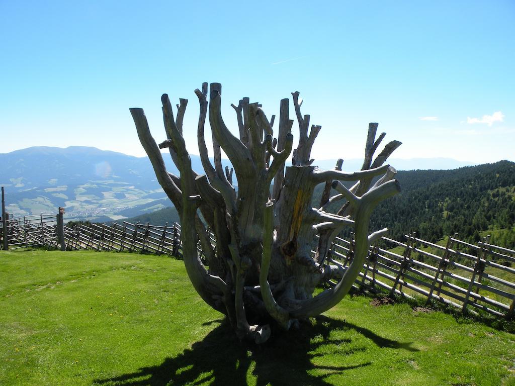 Urlaub Im Zirbenland Villa Obdach Kültér fotó